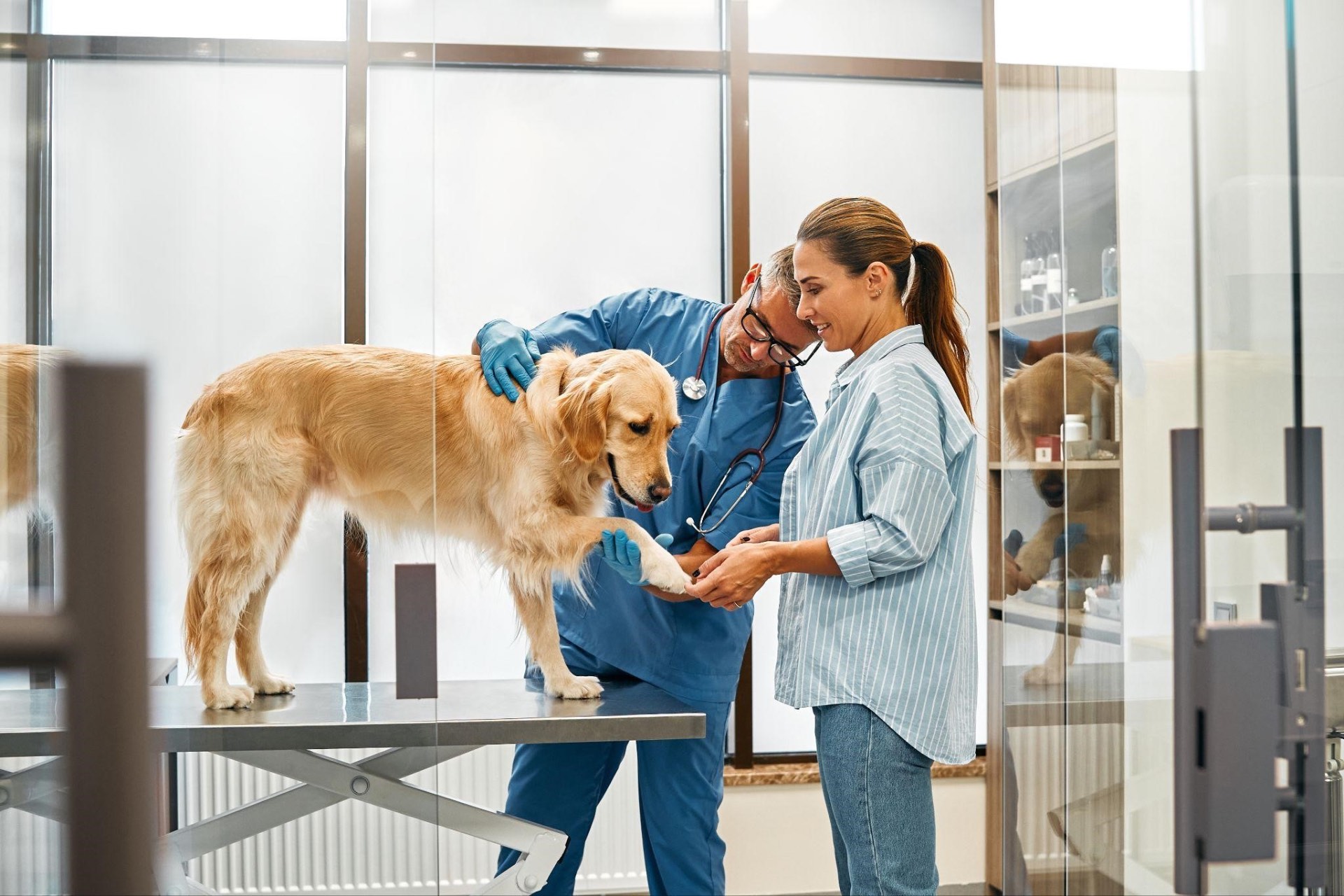 Interior da Clínica Veterinária Anjos