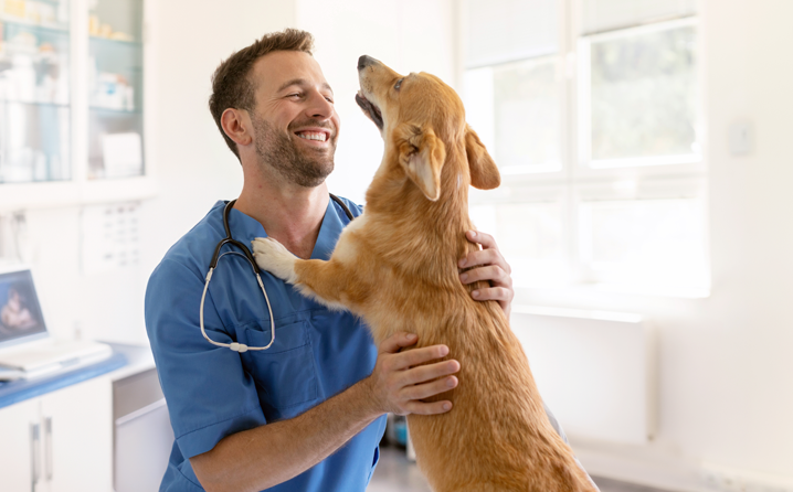 Cão e gato felizes na clínica CMVA